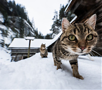 Január 30-01. - Téli Kaland a Kócs-hegyekben&nbsp;